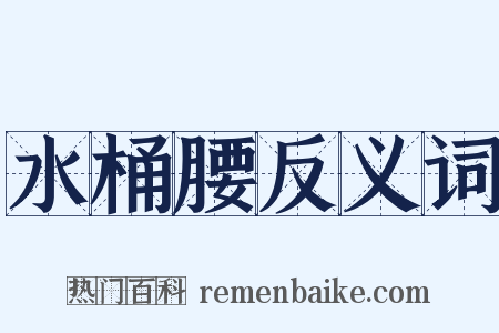 水桶腰反义词是什么意思的图片